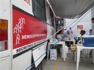 IMG_1816 (Small)